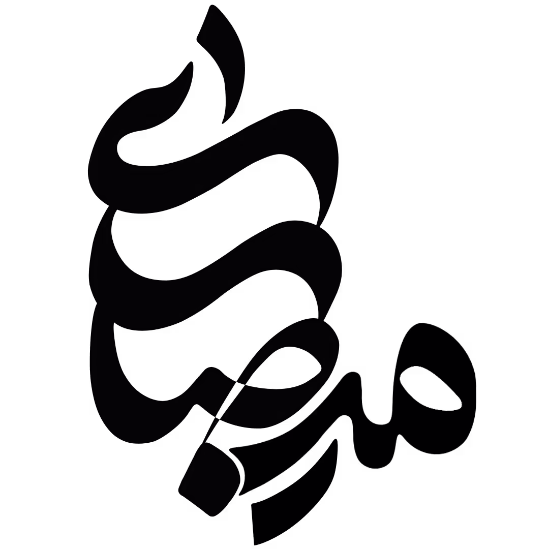 شرکت برنامه نویسی چنار خیام