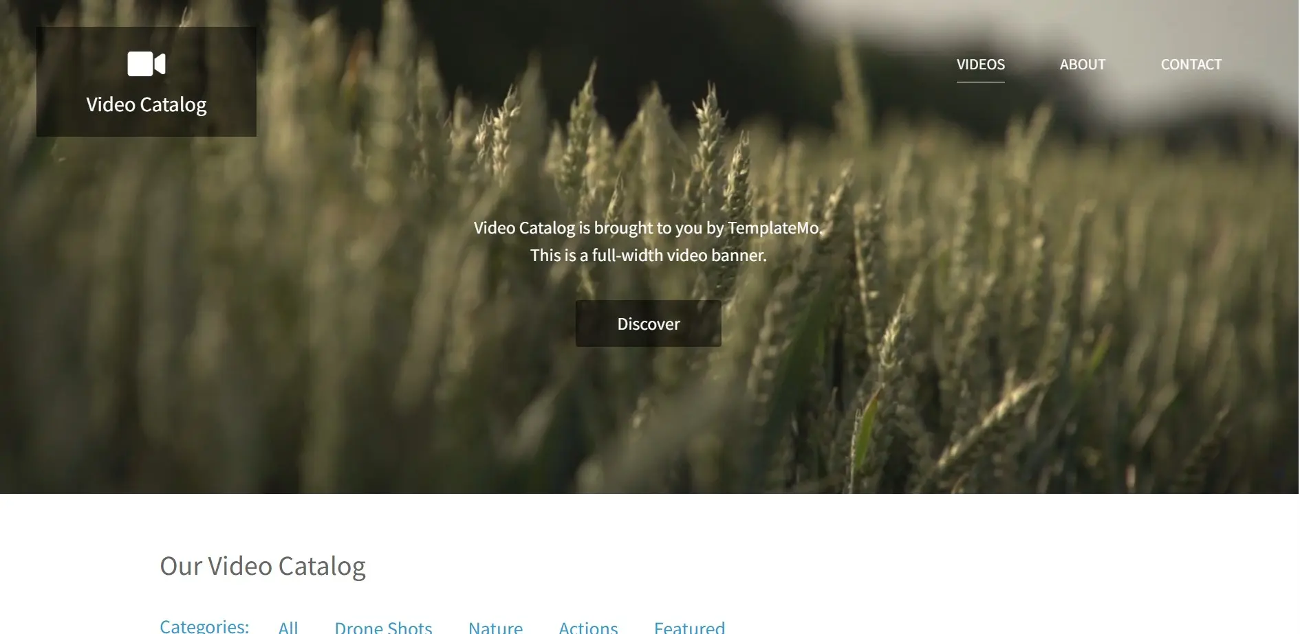 Video Catalog Template