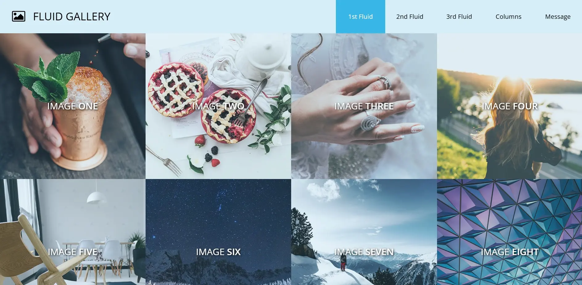 Fluid Gallery Template